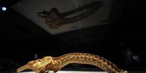 علماء يعالجون كسور العمود الفقري بتقنيات ثلاثية الأبعاد