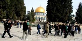 دعوات لاقتحامات وأداء طقوس تلمودية في "الأقصى" غدا