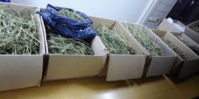 الشرطة تضبط كمية من الماريجوانا وسارق 7 آلاف شيقل