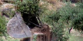 إسرائيل تصادر وتجرف عشرات الدونمات شمال الضفة