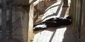 جيش الاحتلال يصيب فتاة بجراح خطرة وسط الخليل