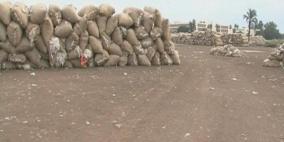 الحكومة المصرية تسمح باستيراد القطن هذا العام