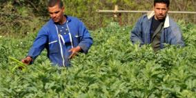 275 ألف فلاح جزائري قد يجردون من أراضيهم