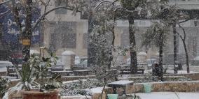 الزائر الأبيض في ضيافة الخليل