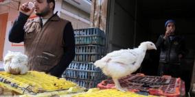 بعد ارتفاع أسعارها .. جيوب الغزيين ترفض "التحرش" بالدواجن