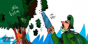 خليل أبوعرفة