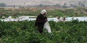 جولة في الاغوار الفلسطينية