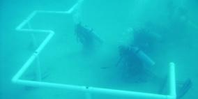 غواصون سعوديون يبنون أول مسجد تحت سطح البحر