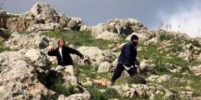 إصابة عدد من المزارعين في تقوع بعد اعتداء المستوطنين عليهم