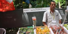 المعرض الزراعي الاول للفراولة والورد الفلسطيني في نابلس اليوم