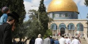 بلدية الاحتلال بالقدس تشرع ببناء جسر لربط حائط البراق بمركز استيطاني