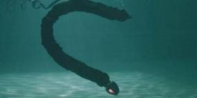 بالفيديو: ثعبان آلي يسبح في الماء بشكل مخيف وكأنه حقيقي