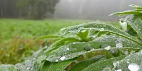 مايكروسوفت تعرض سحر الكاميرا الخاصة بهواتف لوميا 950 و950 XL الجديدة