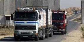 تصدير توابل خضراء من غزة لأوروبا