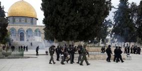 اقتحامات جديدة للأقصى وسط دعوات لـ"اجتياحه"