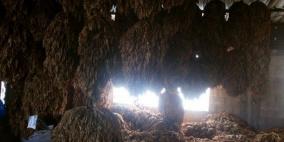 "صور" ضبط 308 كغم كبدة فاسدة ومعمل لتصنيع الدخان في نابلس وجنين