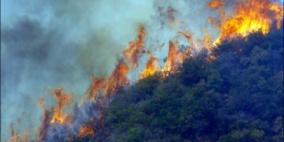 الدفاع المدني يخمد حريقا هائلا في أراضي داخل الخط الأخضر