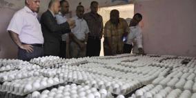 خطر الاغلاق يهدد مزارع الدواجن البياض