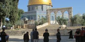 مستوطنون يقتحمون المسجد الاقصى