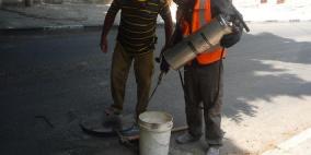 بلدية طولكرم تقوم بحملة لمكافحة البعوض والحشرات