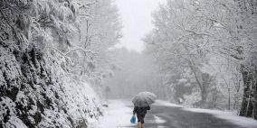 اجمل صور شهر فبراير