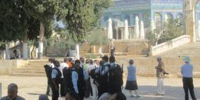 قوات الاحتلال تعتقل أحد العاملين بالأقصى