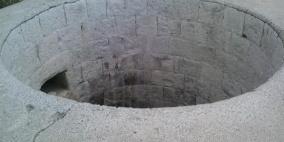 عذرا بئر يوسف ..........فالمارون هذه المره سرقوا منك تاريخا