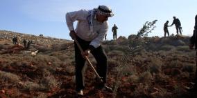 جنين: زراعة أشجار بمحاذاة الجدار لمناسبة يوم الشجرة
