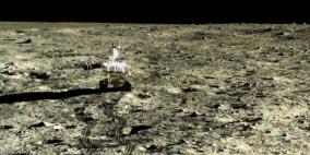 "مادوف" يظهر مجدداً بالصين وينهب 7.6 مليار دولار