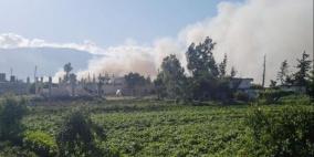 انخفاض إنتاج سوريا من الفستق إلى النصف