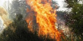 إخماد حريق شب في أرض زراعية في قلقيلية