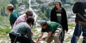 مستوطنون يستعدون لسلب مزيد من الأراضي في بيت لحم