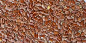 إتلاف 500 كغم مكسرات وبذور تالفة وفاسدة في القدس