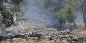 اندلاع حريق هائل في احراش نور شمس شرق طولكرم