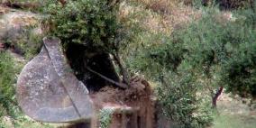 الاحتلال يجرف أراضي في تل الرميدة وسط الخليل