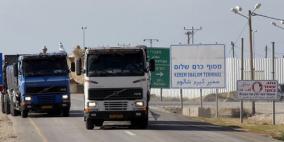 غزة: إدخال300 شاحنة بضائع ومساعدات وتصدير زهور وفراولة لأوروبا