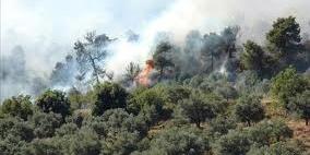 احتراق 10 دونمات زراعية في سهل عانون بسبب عبث أطفال