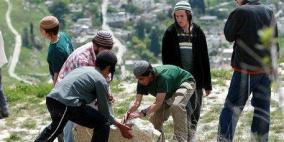 مستوطنون يستولون على اراضي زراعية ويجرفونها جنوب نابلس