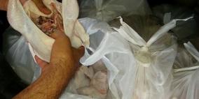 الخليل: الضابطة الجمركية تضبط 140 كغم من الدجاج الفاسد