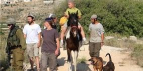 مستوطنون يغلقون المدخل الغربي لبلدة تقوع