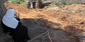 مواطنو تقوع يرممون منزلا تاريخيا استولى عليه المستوطنون