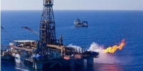 مصر تفتتح قريباً مشروع بتروكيماويات بـ1.9 مليار دولار