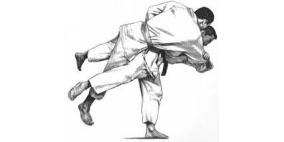 اختتام أول بطولة للجودو في الشمال