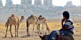 خطة "إسرائيلية " لترحيل بدو القدس للغور