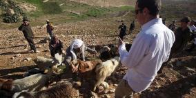 بسبب شح الامطار ..خسائر تقدر بـ40 مليون دولار في الضفة