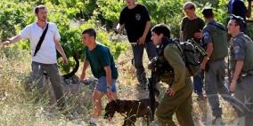 بيت لحم: مستوطنون يحاصرون مزارعا داخل ارضه ويمنعوه من الخروج