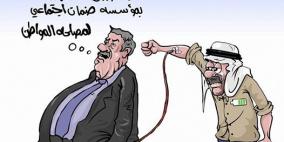 محمد سباعنة