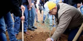 التجمع الوطني لأسر الشهداء ينظم يوما لزراعة أشجار الزيتون في طولكرم