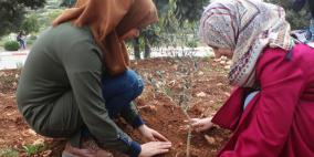 "التعليم البيئي" يدعو لمُضاعفة غرس الأشجار الأصيلة