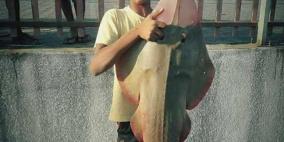 غزة: تعليق الصيد بعد استشهاد صياد واعتقال جريحين في البحر